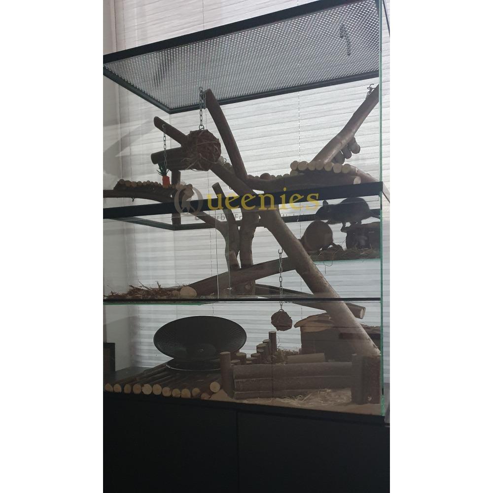 Opzetstuk zonder bodem - Terrarium verhoging