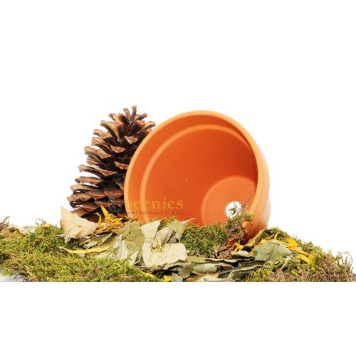 Terracotta pot voor Muizen in landscaping