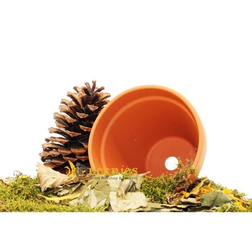 Terracotta pot voor Gerbils in hamsterscaping