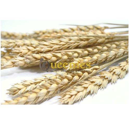 Voedingssupplement voor knaagdieren