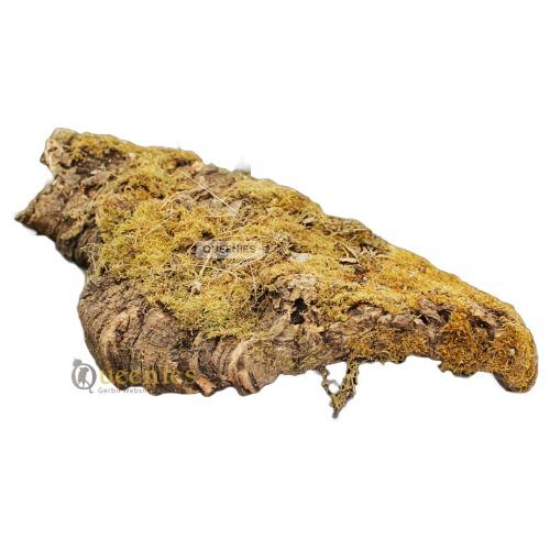 Kurkplaat groot voor Gerbils