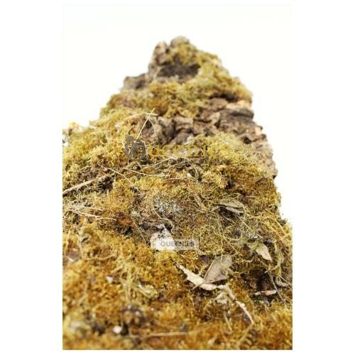 Kurkplaat groot voor Hamster