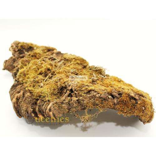 Kurkplaten met natuurlijke uittraling