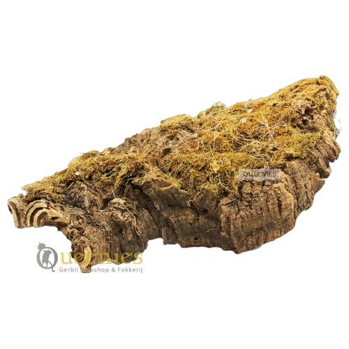 Natuurlijke inrichting met kurkplaten