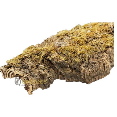 Kurkplaat budget, goedkope kurkplaat met gratis levering