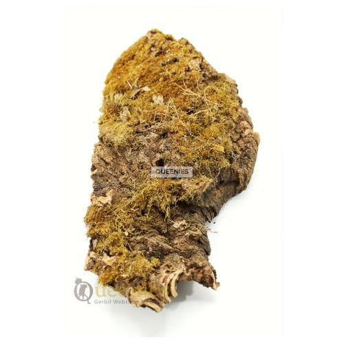 Kurkplaat groot voor Degoe