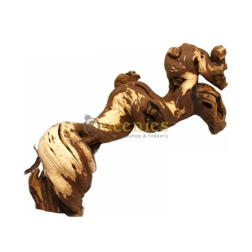 Wijnrank gezandstraald voor gerbilscaping