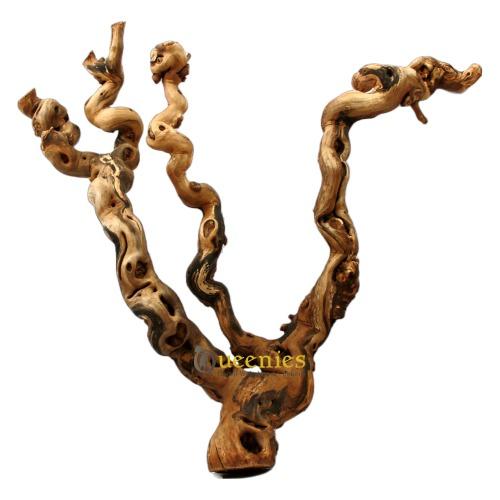 Chinchilla trap hout om op te lopen