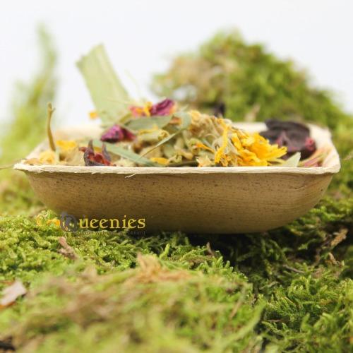 Voerbakje voor met gedroogd terrarium mos van Palmblad