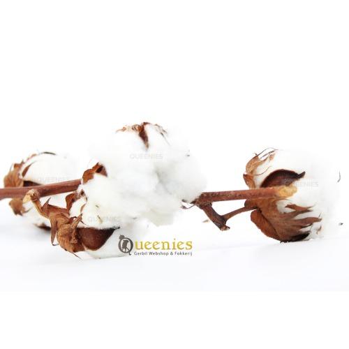 Kapok tak met katoen bollen