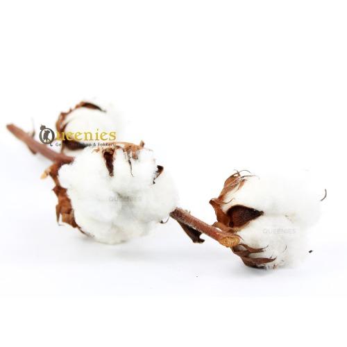 Katoen takken met bollen