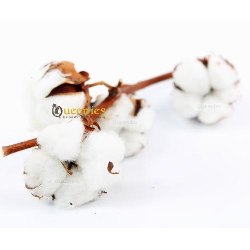 Katoentak met kapok bollen