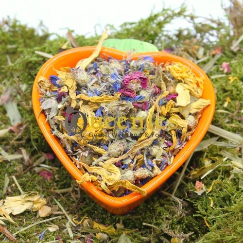 Natuurlijke voerbakken voor Dwerghamsters