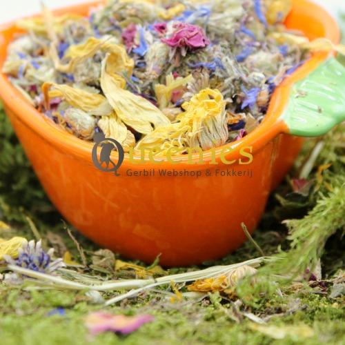 Natuurlijke voerbakken voor Goudhamster