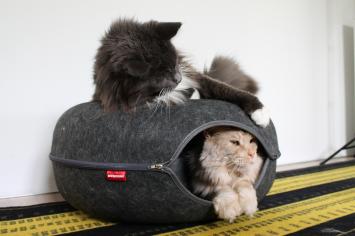 Viltenmand voor grote katten