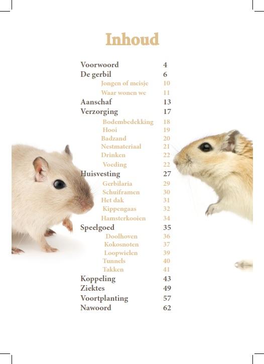 Gerbil informatie boekje