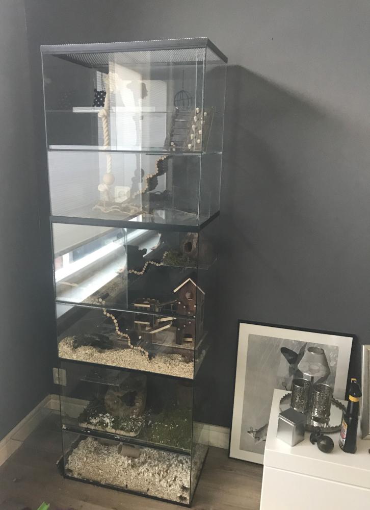 Degoe terrarium 60x40x120