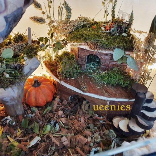 Hamsterscaping met Jesper knaagdierhuis