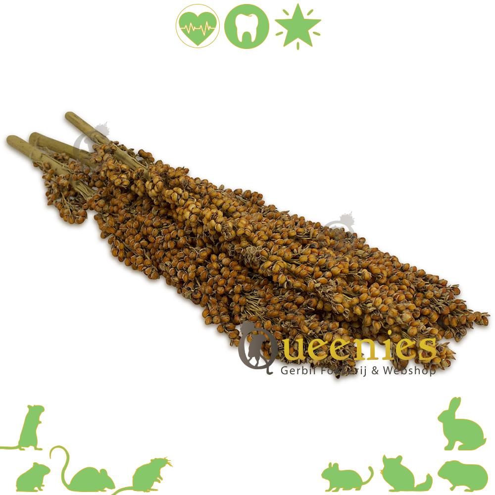 Hamster die snoept van Jr Farm Dari Kolf