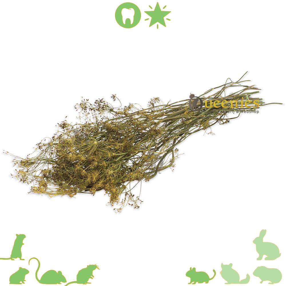 JR Farm Dille oogst 80 gram