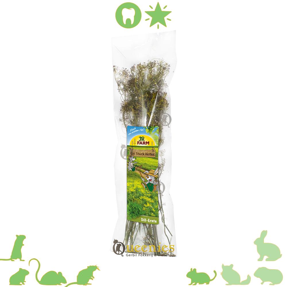 JR Farm Dille oogst 80 gram