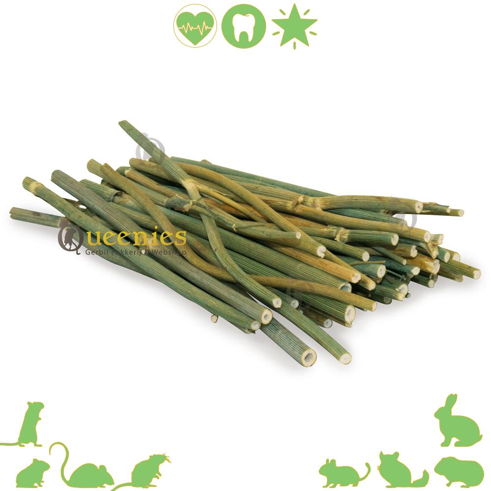 Kalmerende dille stokjes voor Knaagdieren