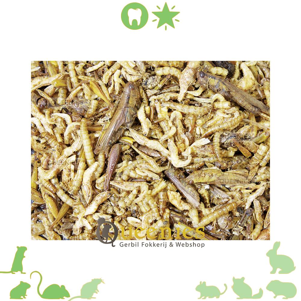 JR Farm proteine cocktail voor dikstaart gerbil