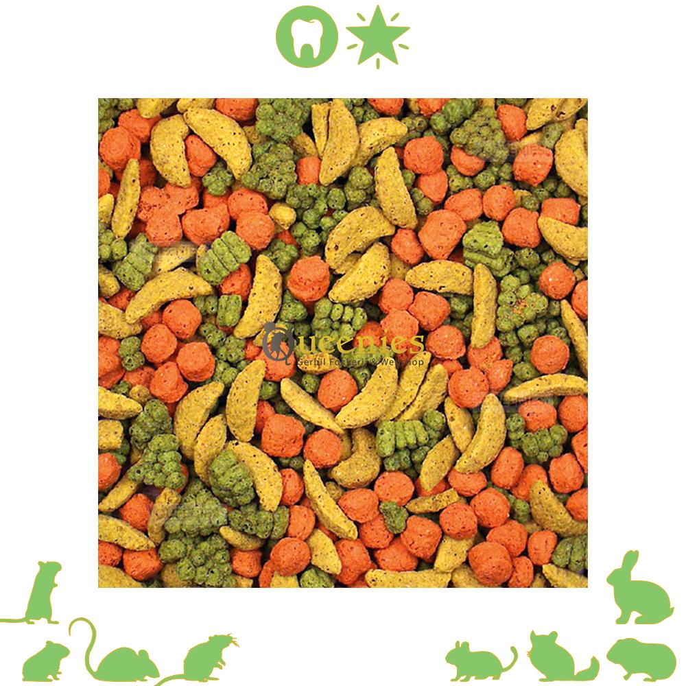 JR Farm Knaagdieren gedroogd knaagdieren fruit