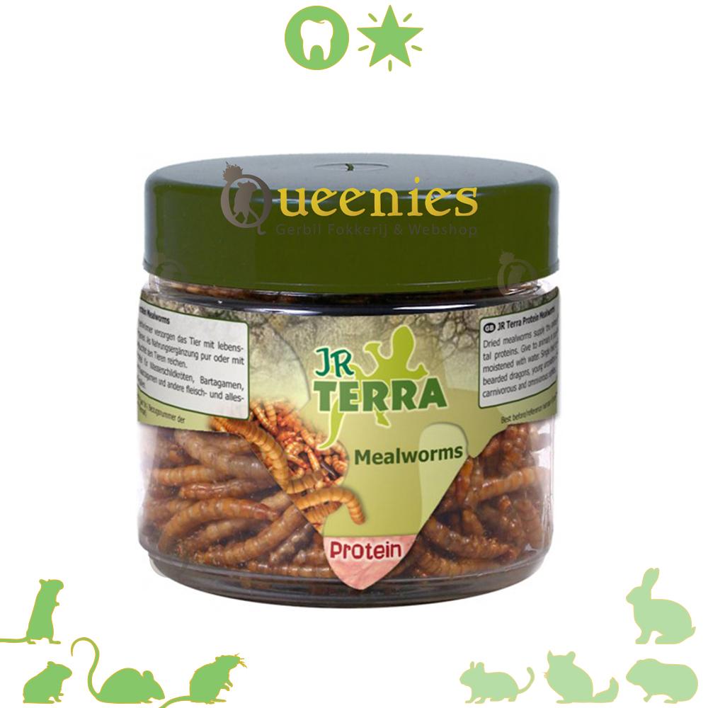 Gedroogde meelwormen in potje