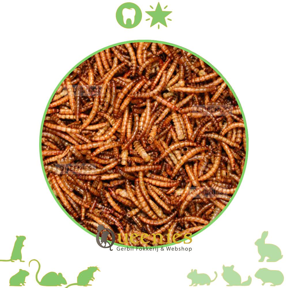 Gedroogde meelwormen voor gerbils