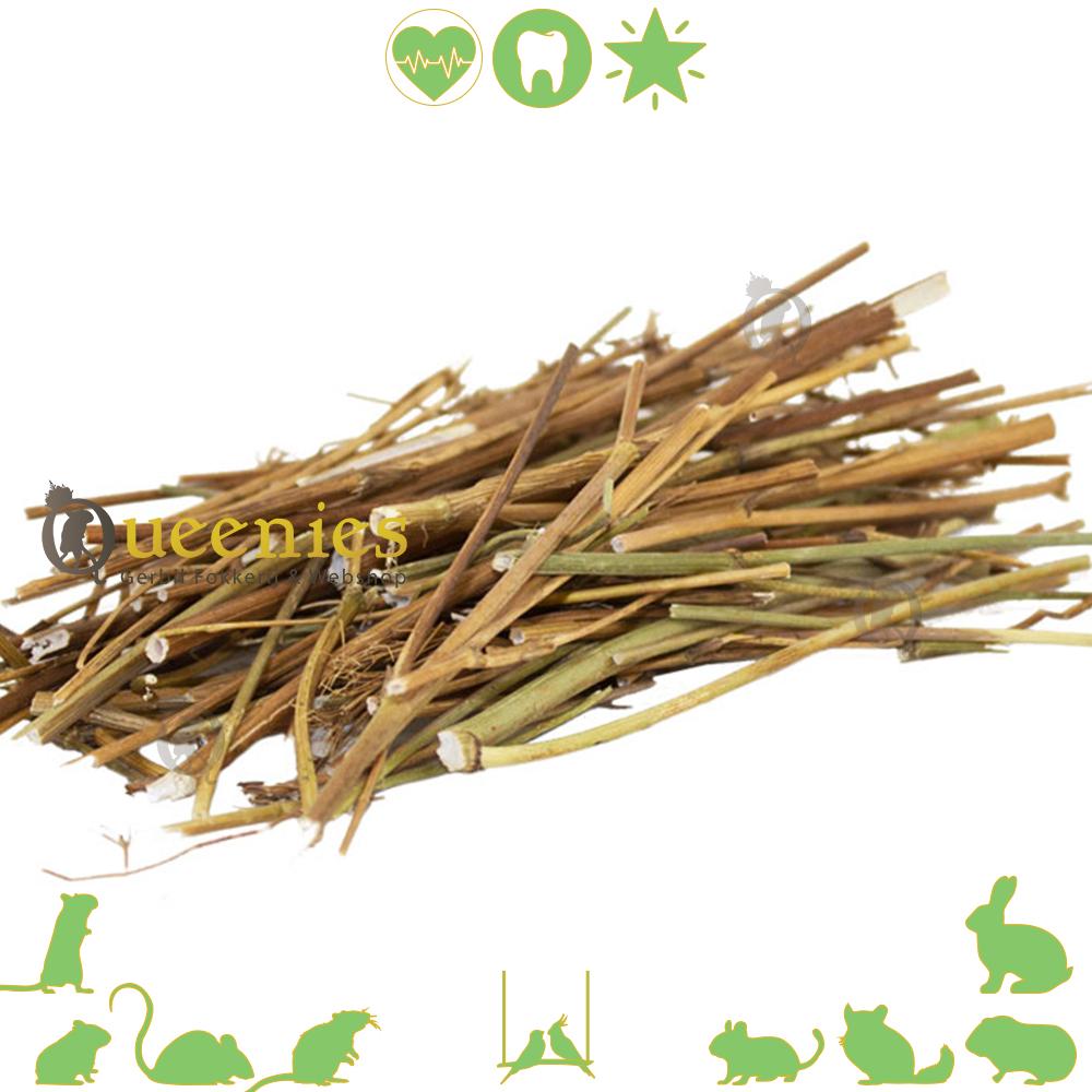 JR Farm Karwij Stokjes 10 gr