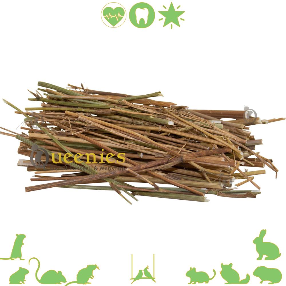 JR Farm Karwij Stokjes 10 gr