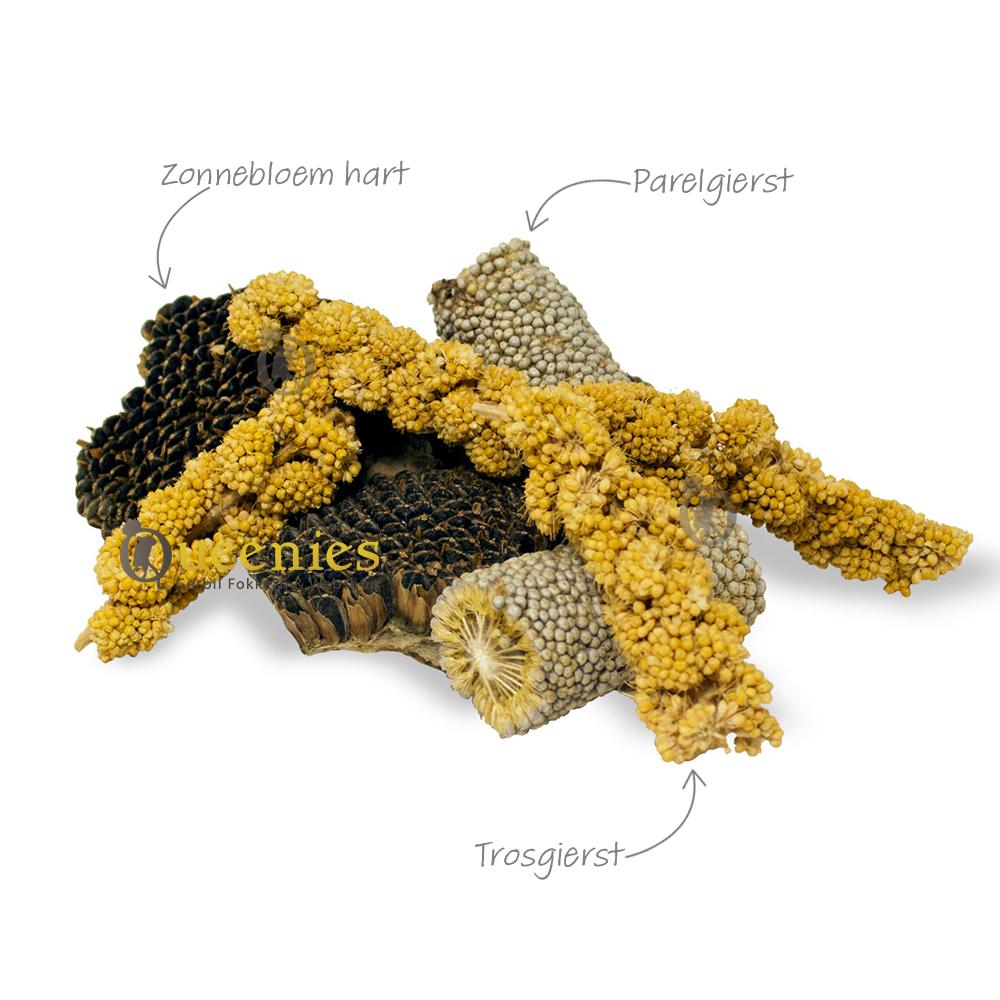 Knaagdiersnacks met Parelgierst