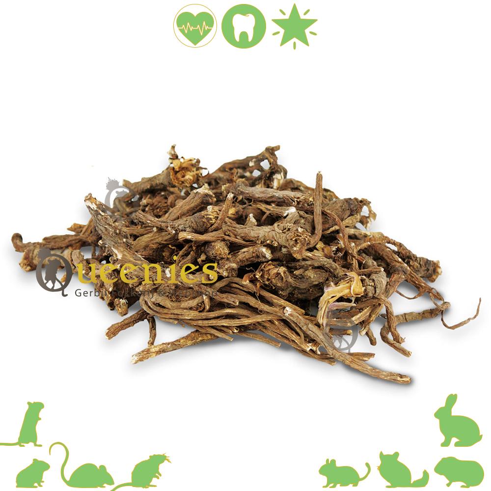 Paardenbloemwortels voor Knaagdieren en Konijnen