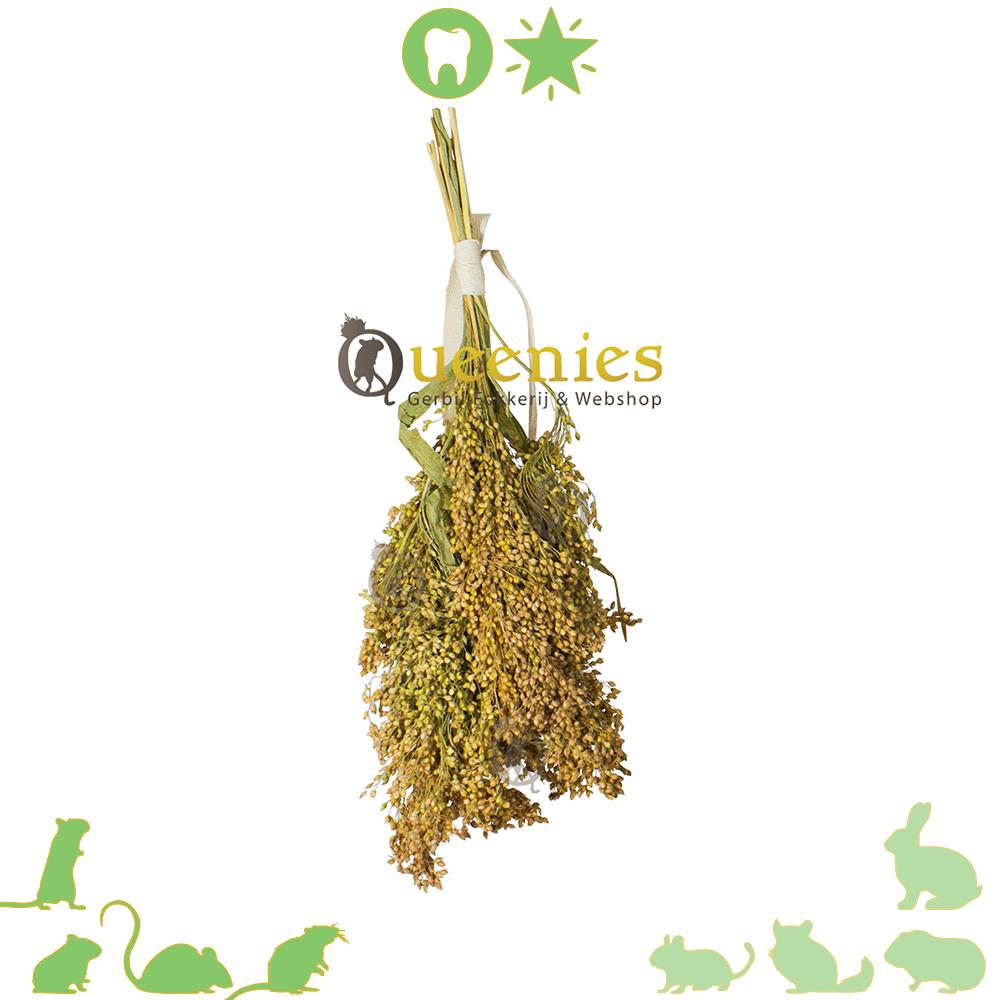 JR Farm Parelgierst 100 gram