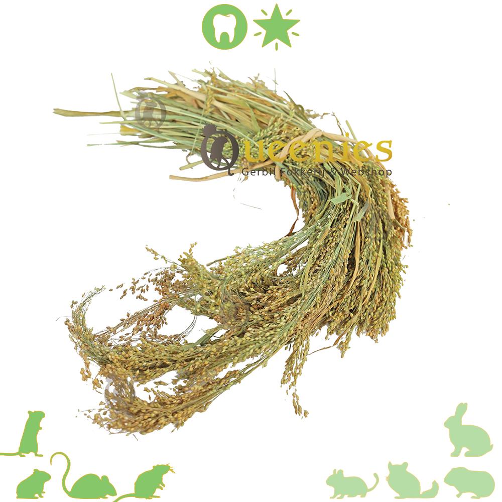 JR Farm Parelgierst 100 gram