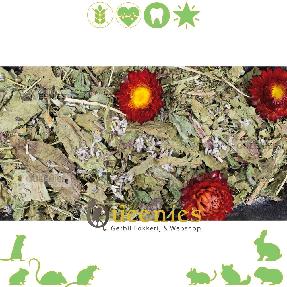 Grainless Plus Salie & Paardenbloem