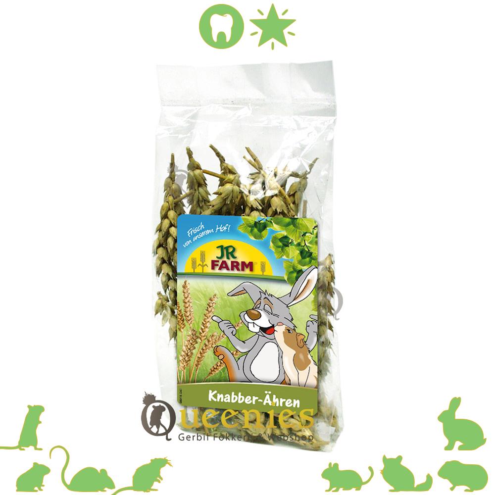 JR Farm gedroogde Tarwe aren - natuurlijke grassoort