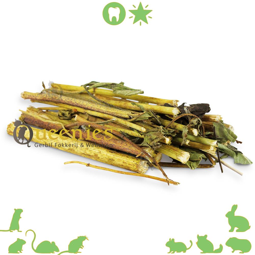 Topinamboer Knaagstokjes voor knaagdieren
