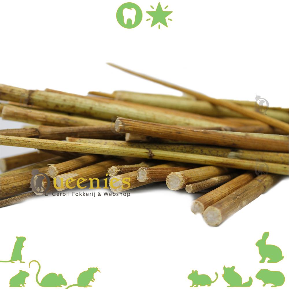 Topinamboer Knabbel en eetstokjes voor knaagdieren