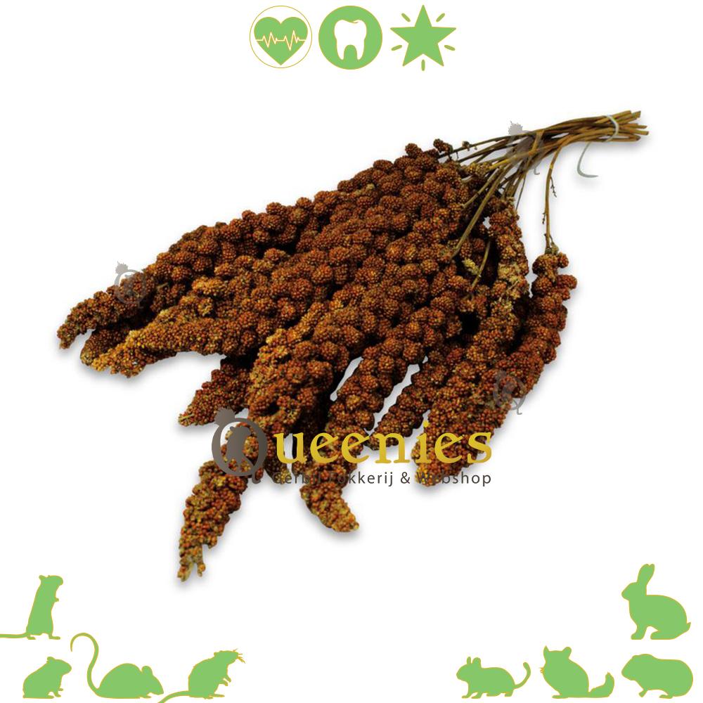 JR Farm Rode Trosgierst Rood 75 gr.