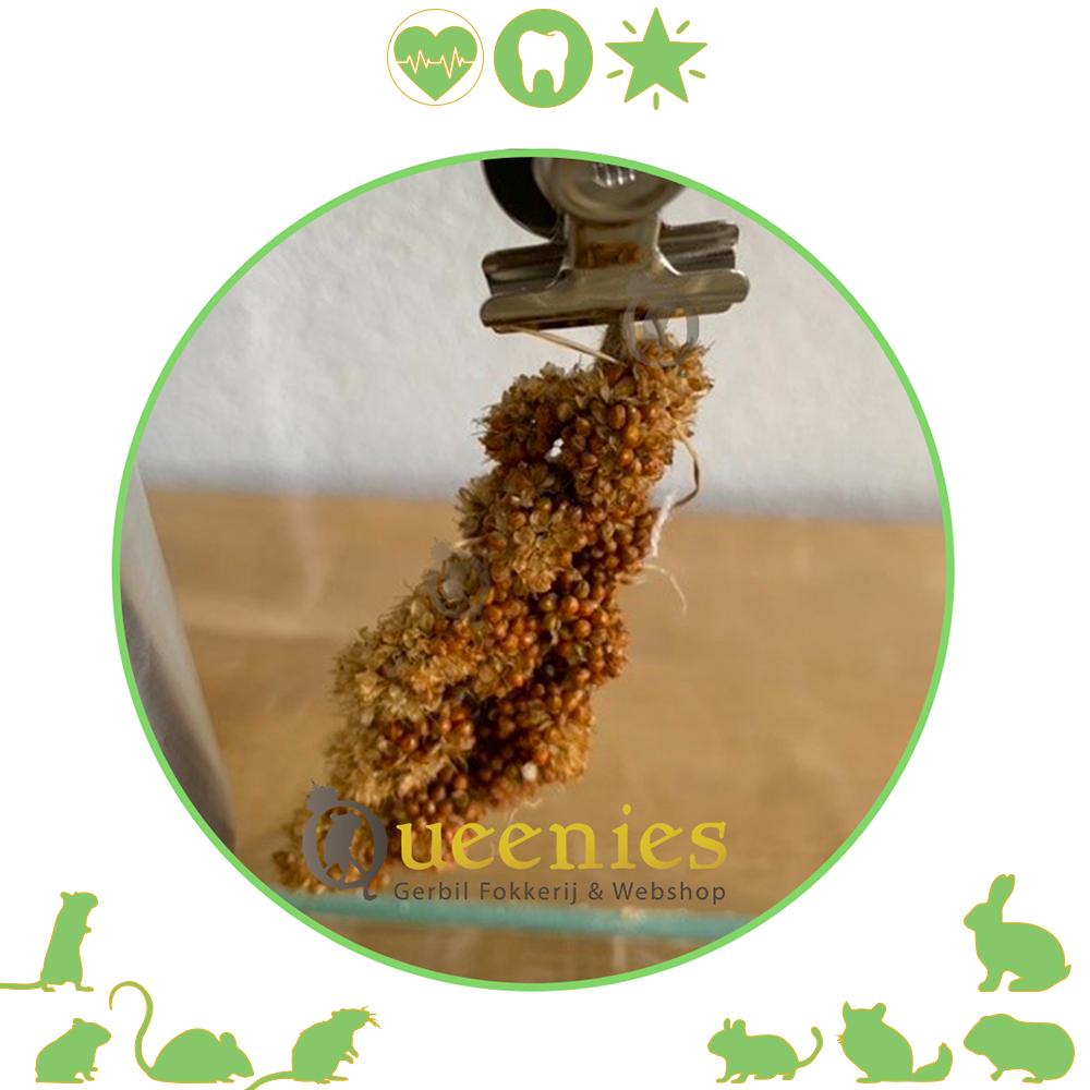 JR Farm Rode Trosgierst Rood 75 gr.