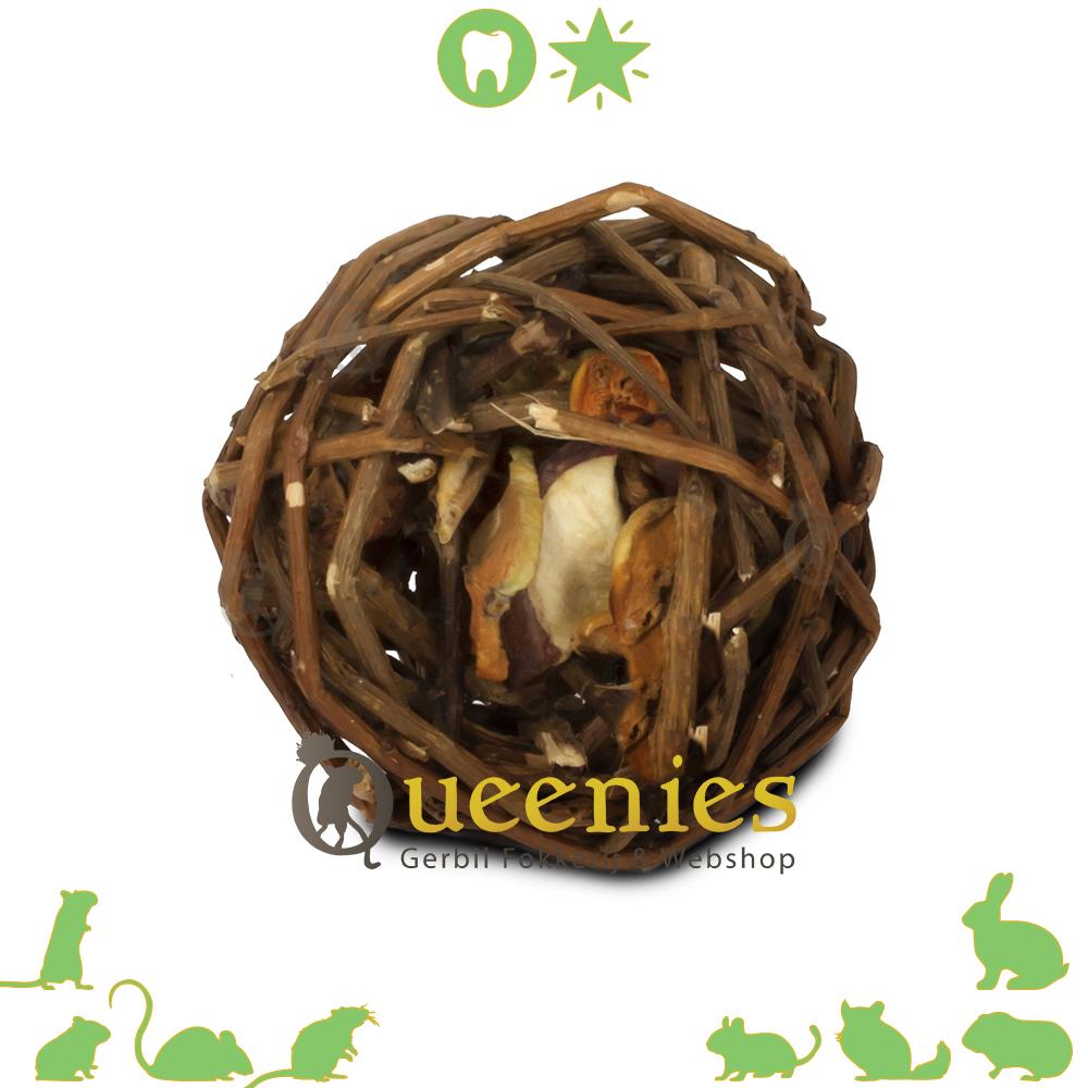 wilg appel bal knaagbal voor Gerbils