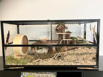 Ruim Hamster terrarium 100x40x50 met schuifruiten aan de voorzijde