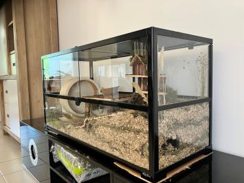 Glazen hamster terrarium 100x40x50 met zwart aluminium frame