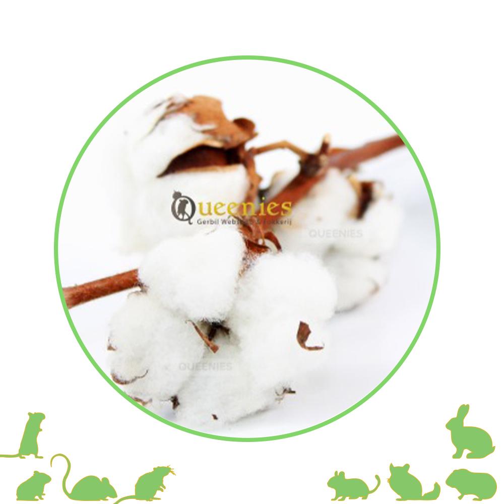 Katoen op steel ( kapok wol )