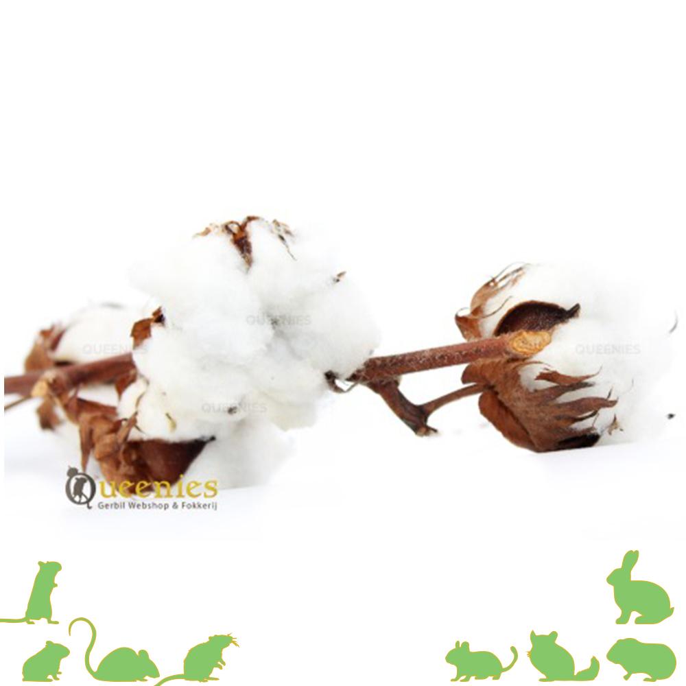 Katoenbol op steel ( kapok wol )