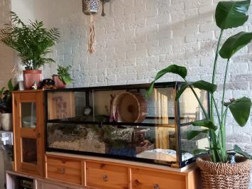 Referentie foto HabiTerra Goudhamster terrarium met veiligheidsslot en schuifruiten