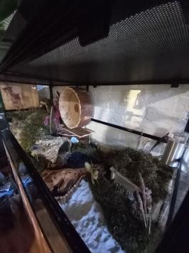 Referentie foto HabiTerra Syrische hamster terrarium 120x50x50