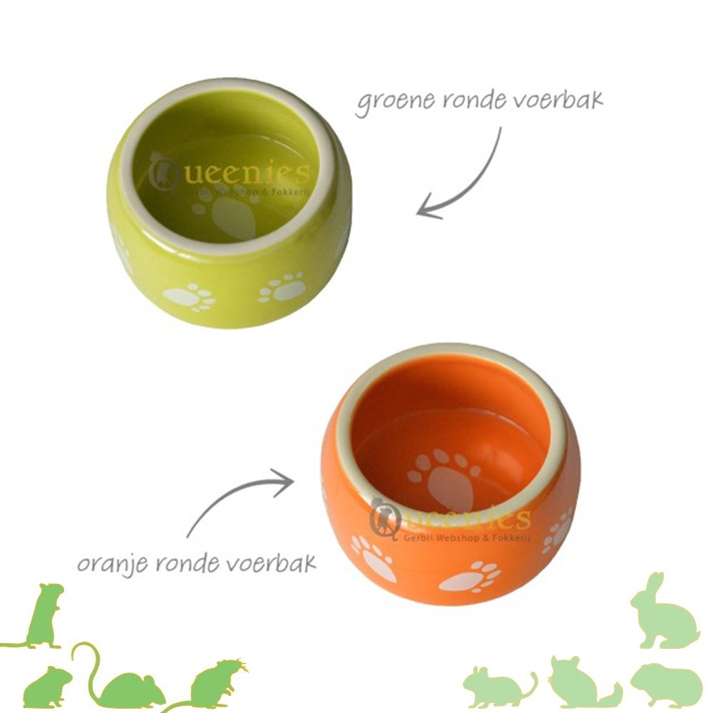 Ronde knaagdier voerbak voor Gerbil